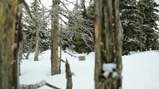 冬天在雪地上奔跑的人视频素材