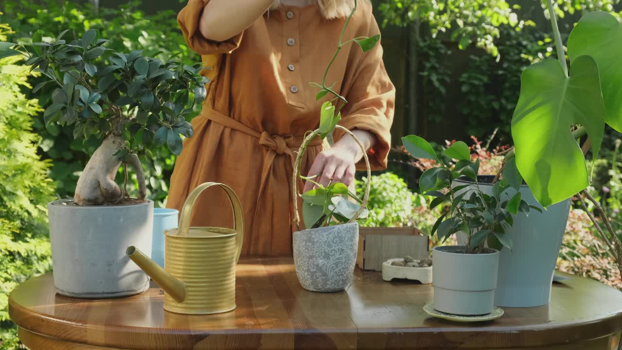 夏天园艺。妇女在后花园的新花盆里移栽植物。视频素材