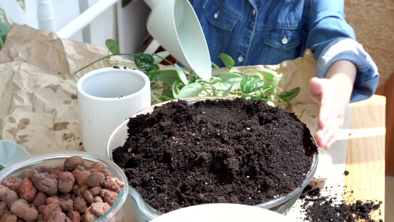 移花盆种植室内植物视频下载