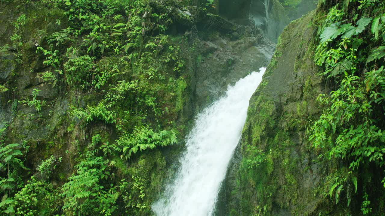 哥斯达黎加萨拉皮基郁郁葱葱的雨林中的瀑布视频素材