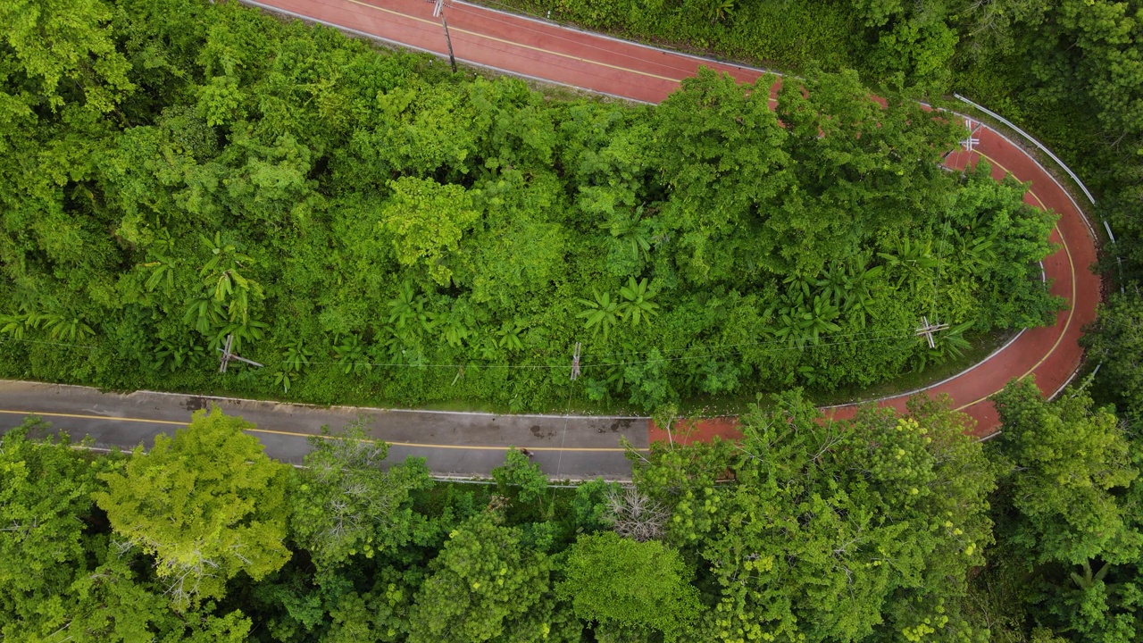 秋叶在林地和蜿蜒的红色道路，无人机鸟瞰图。视频素材