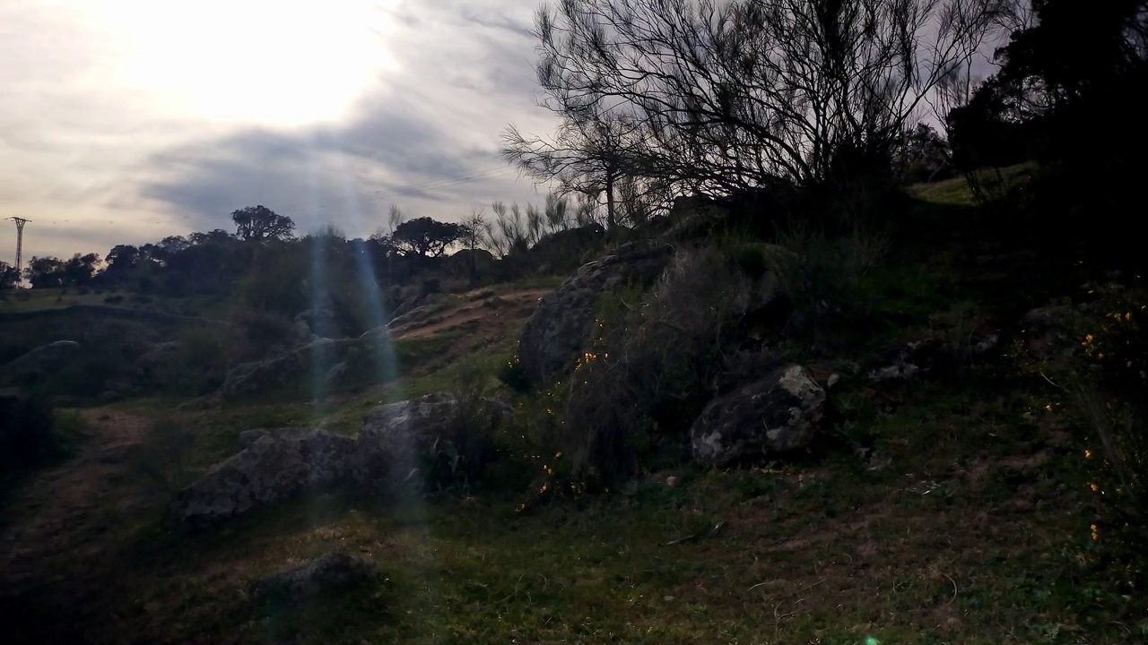 在西班牙的普拉森西亚，Cáceres，有霍尔姆橡树和软木橡树的山区景观的背光全景视频。视频下载