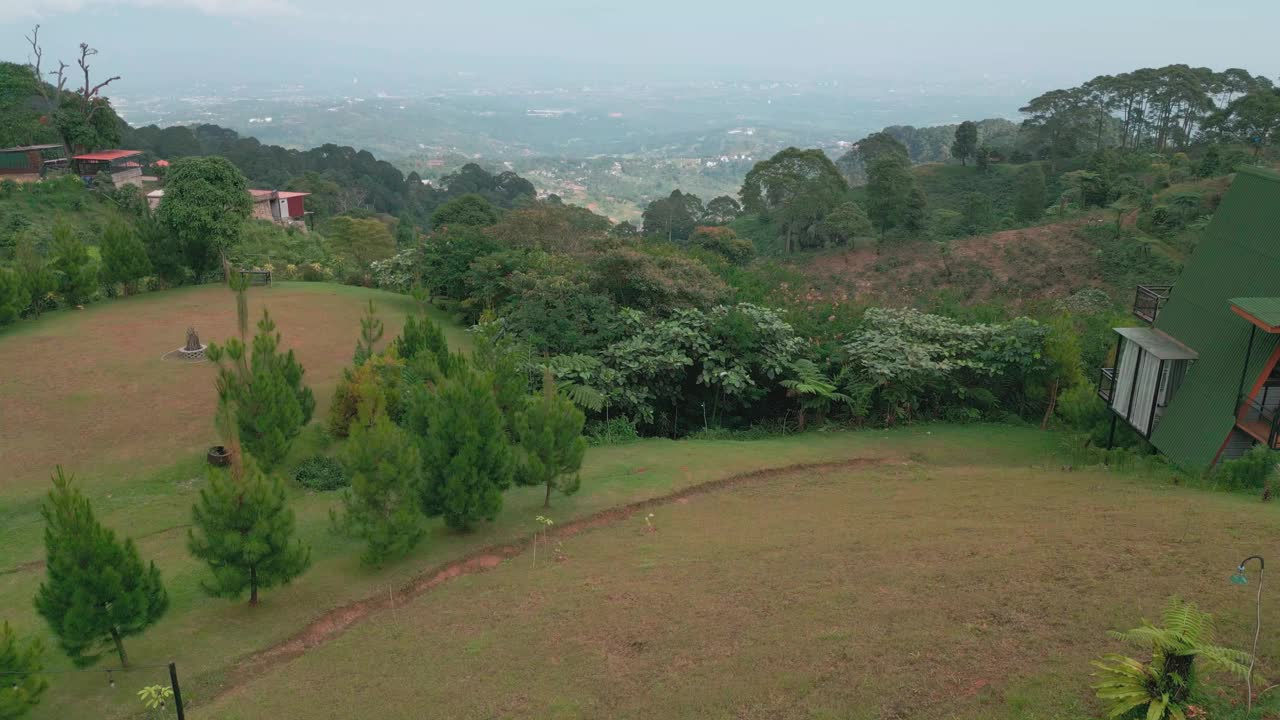 热带森林视频素材