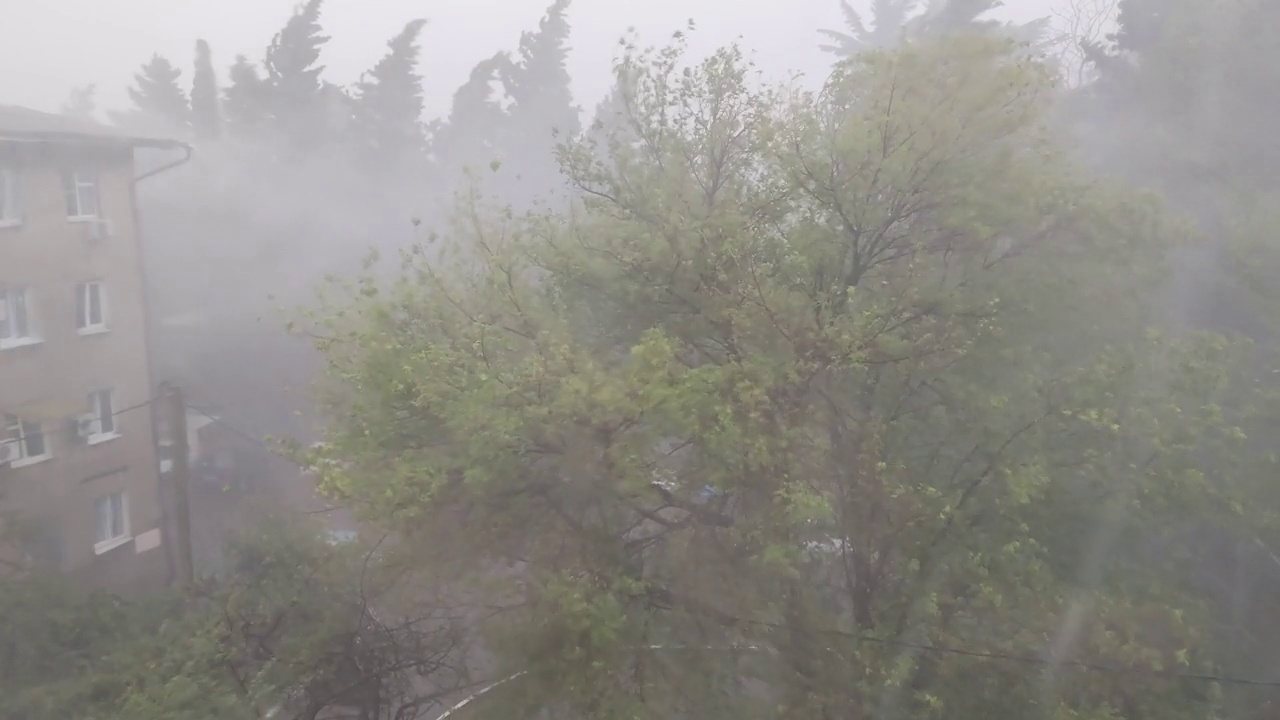 城市街道上狂风暴雨视频素材