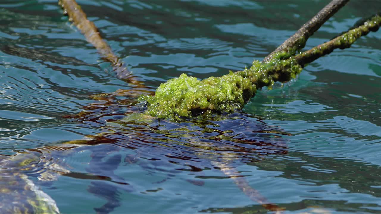 生锈苔藓铁链细节hold船视频素材