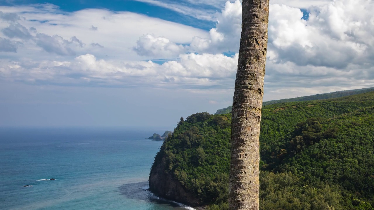 夏威夷海岸线的时间流逝视频素材