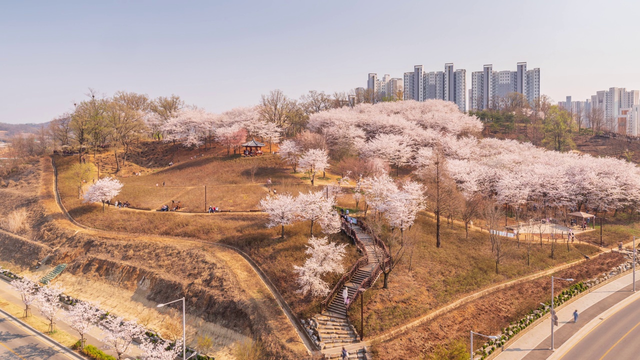 春天，樱花盛开，白天的五南山观景公园和凉亭/韩国京畿道始兴市视频素材