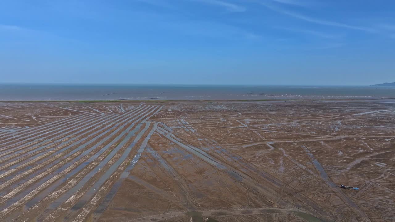 泥滩贝类养殖场视频素材