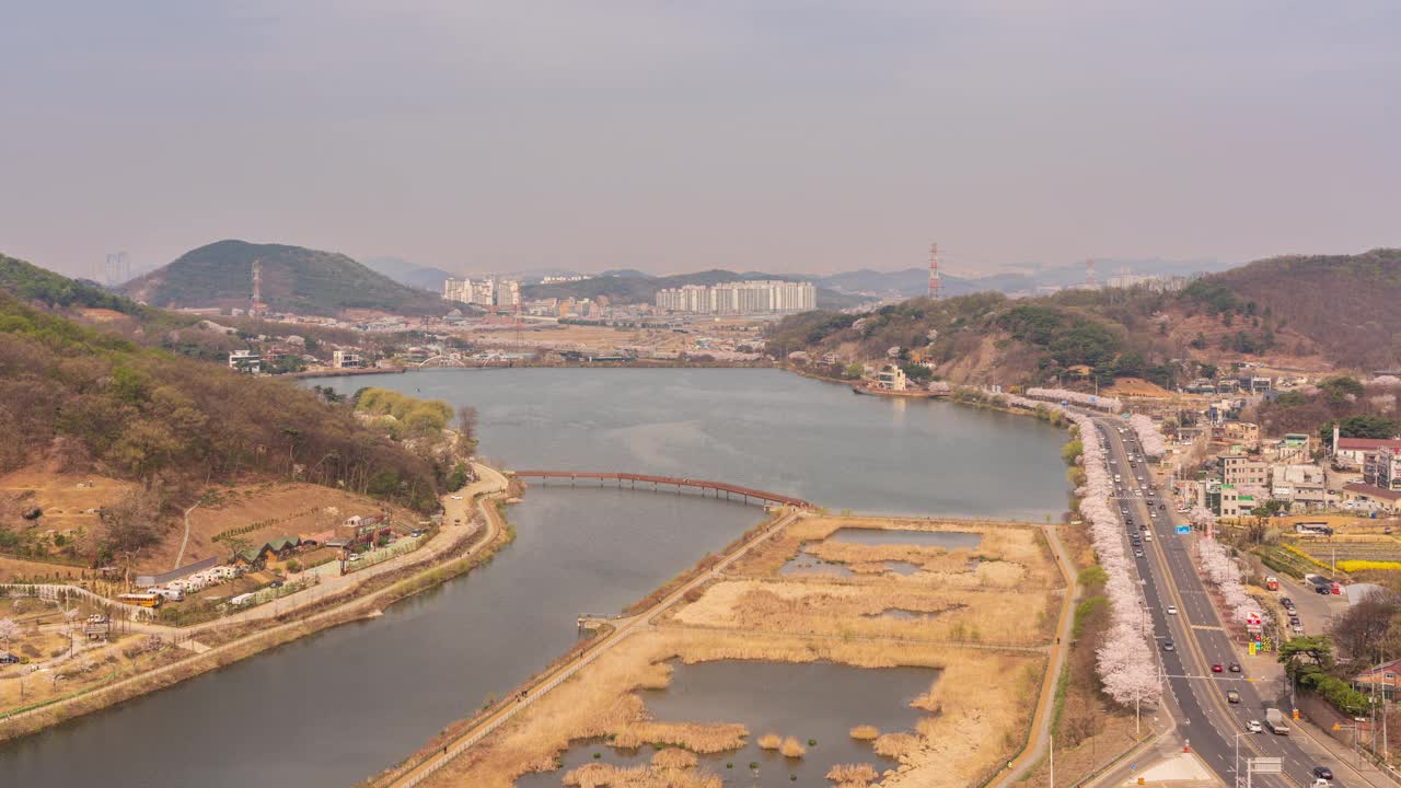 墨旺湖、墨旺水库、春天、樱花和白天的道路/韩国京畿道始兴市视频素材