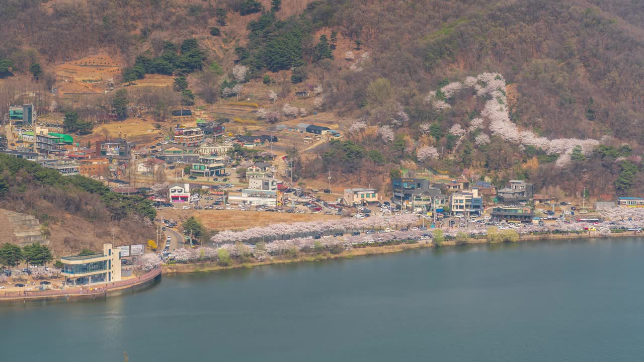 墨旺湖、墨旺水库、春天、樱花和白天的道路/韩国京畿道始兴市视频素材