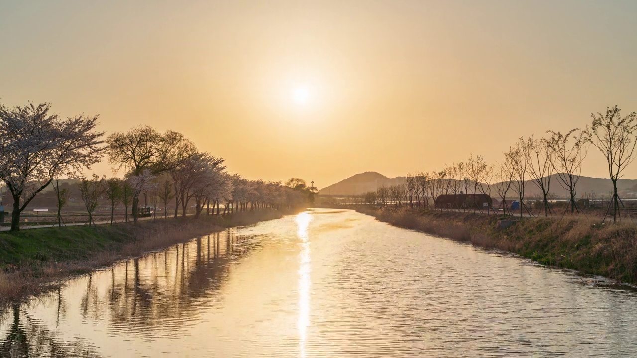 春天、樱花、蒲通川溪和白天的日落/韩国京畿道始兴市视频素材