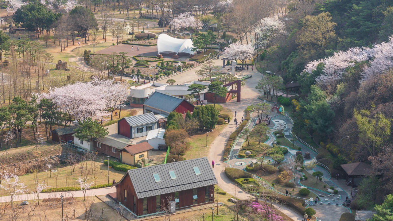 春天，白天的樱花和玉谷公园/韩国京畿道始兴市视频素材