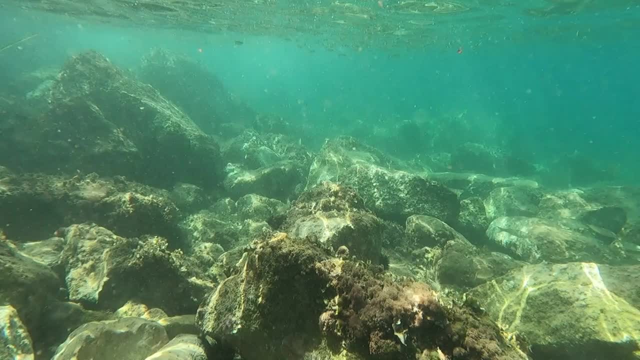 水下地中海在西班牙阿利坎特海岸视频素材