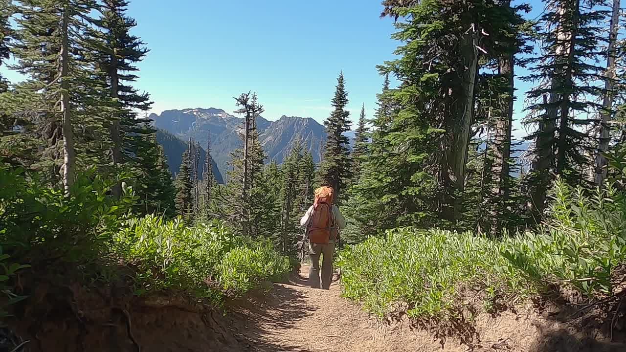 男徒步旅行者带着登山杖在山间穿过森林视频素材