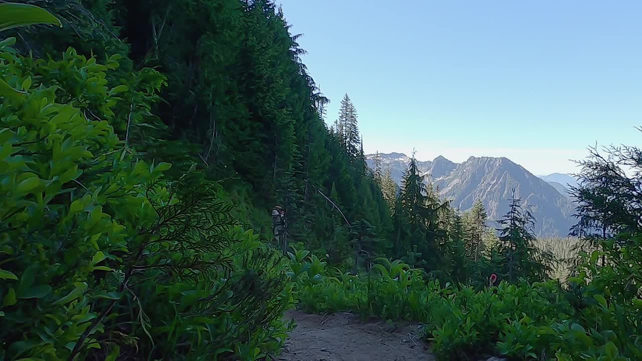 徒步旅行者在山里穿过森林视频素材