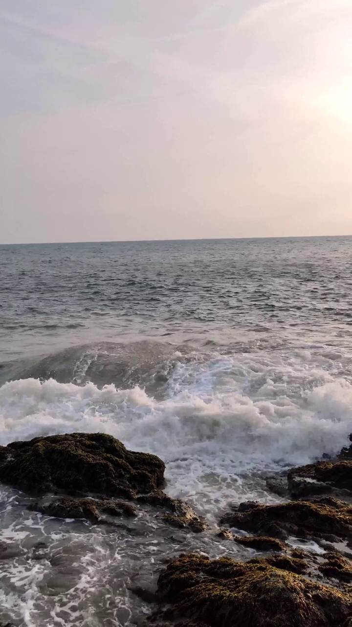 日落时海岸岩石上泡沫海浪的垂直镜头视频素材