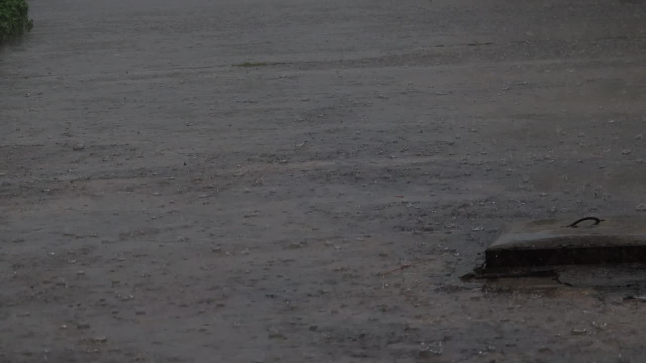 暴雨视频素材