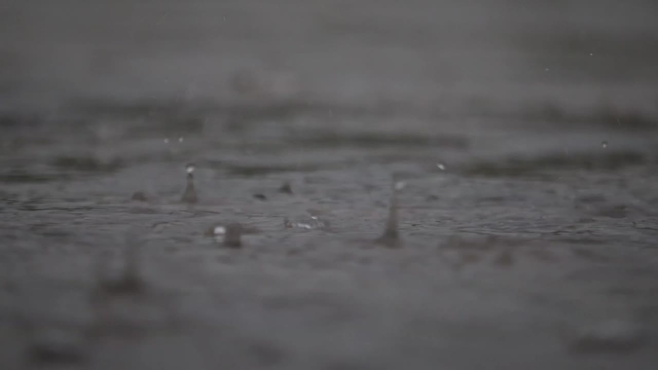 暴雨视频素材