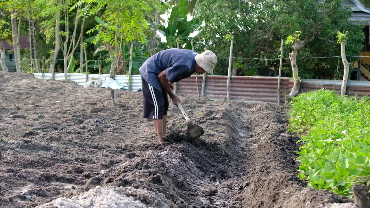 农民在种植园里用锄头耕种土地视频素材