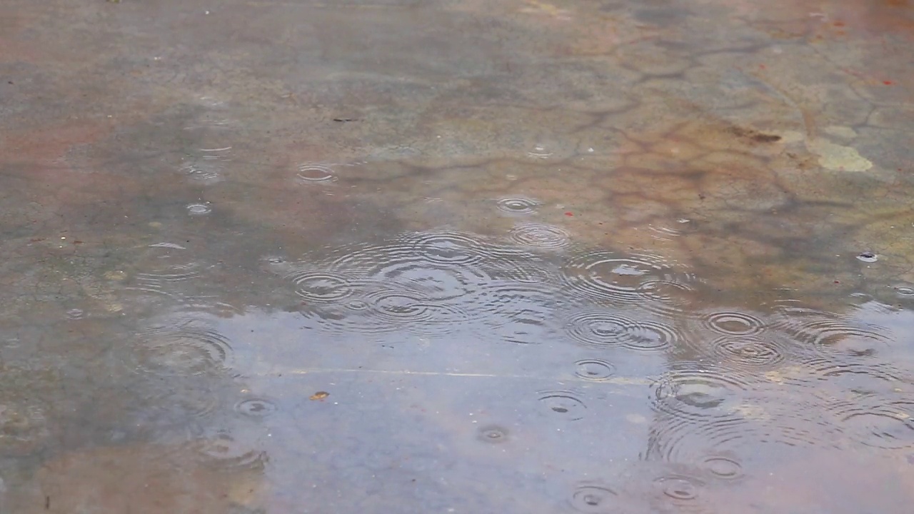 雨水落在人行道上视频素材