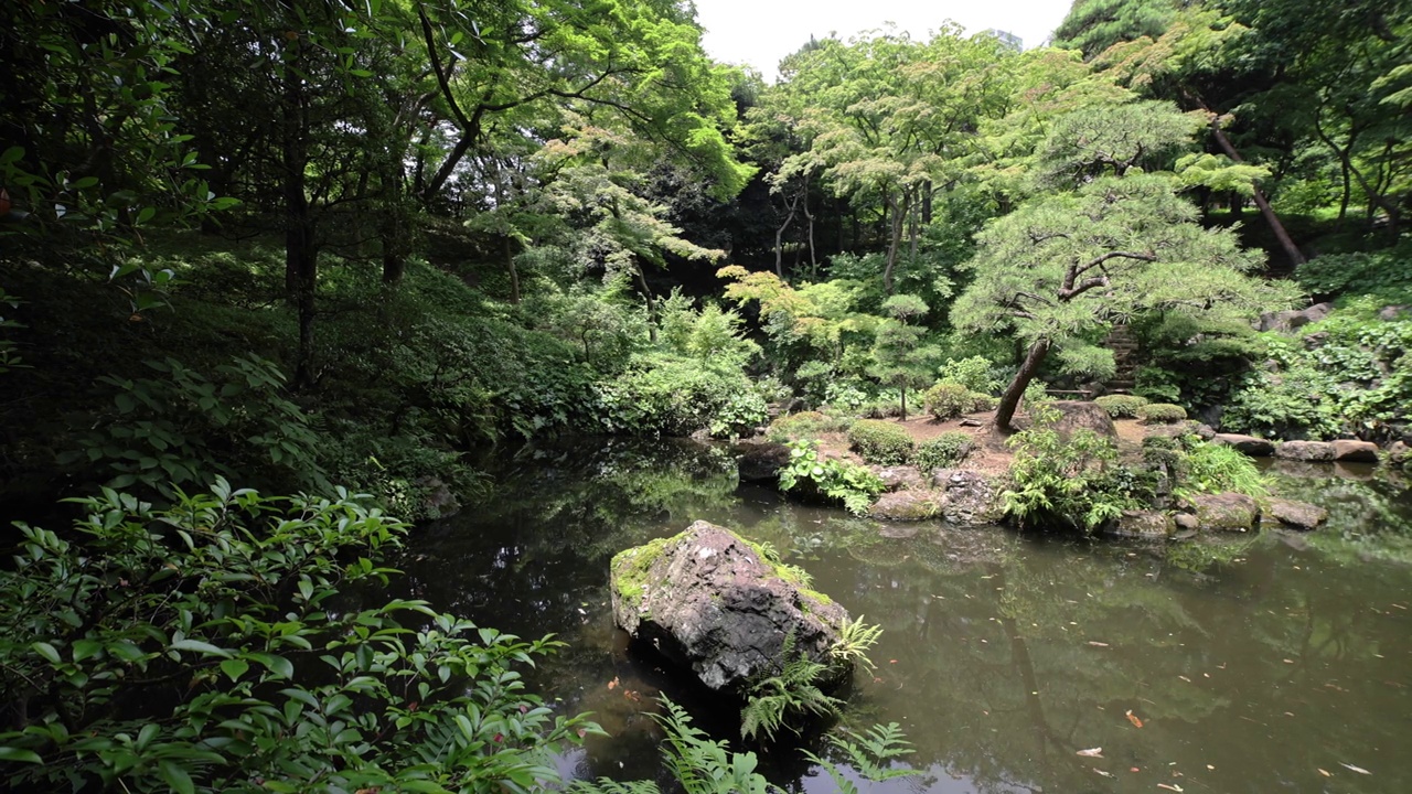 一个日本花园池塘在东宫花园在夏天的阳光明媚的一天视频素材