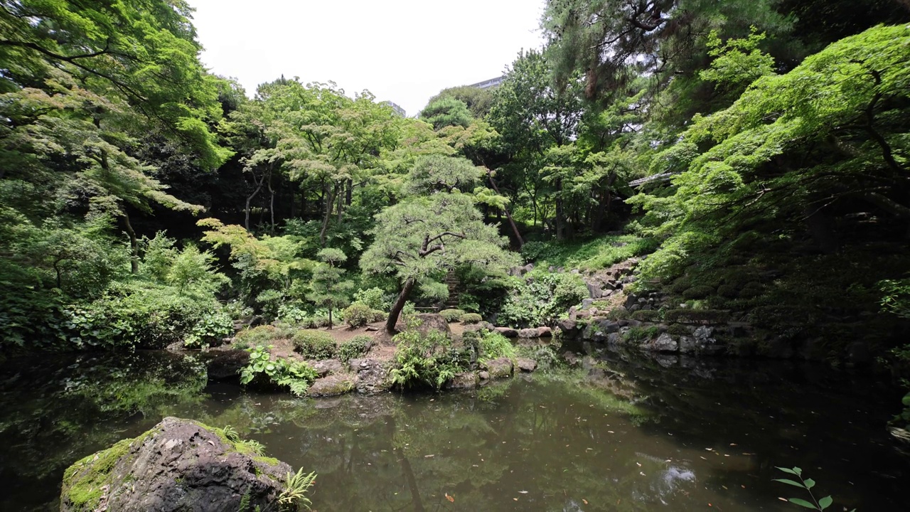 在夏日阳光明媚的日子里，东洋花园的一个日本花园池塘倾斜向下视频素材