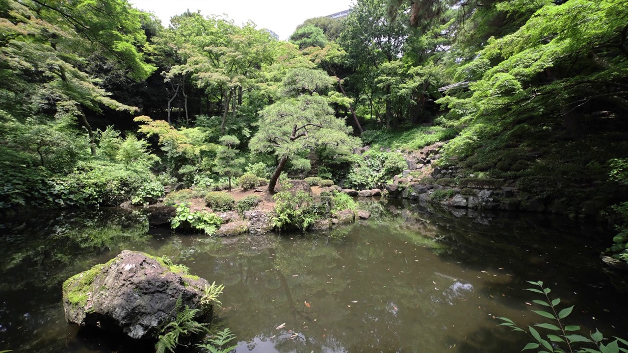 在夏天阳光明媚的日子里，日本东宫花园的一个花园池塘向上倾斜视频素材