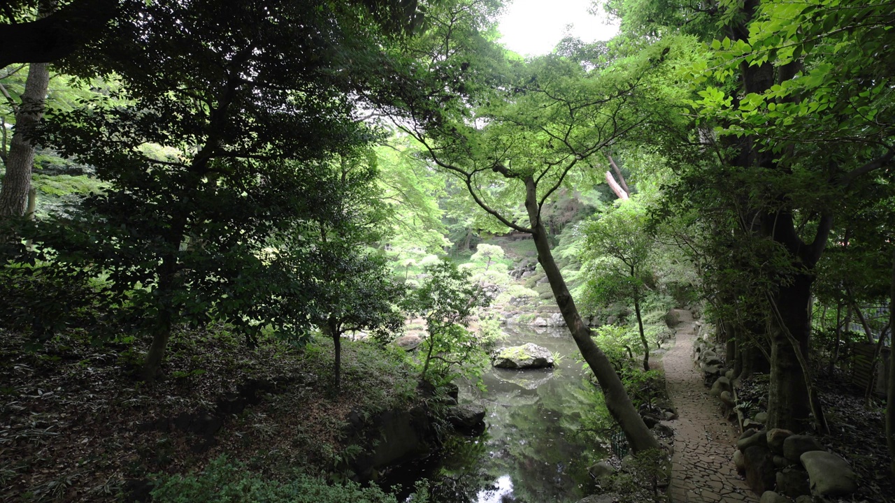 夏日阳光明媚的日子里，东宫花园的日式花园池塘视频素材