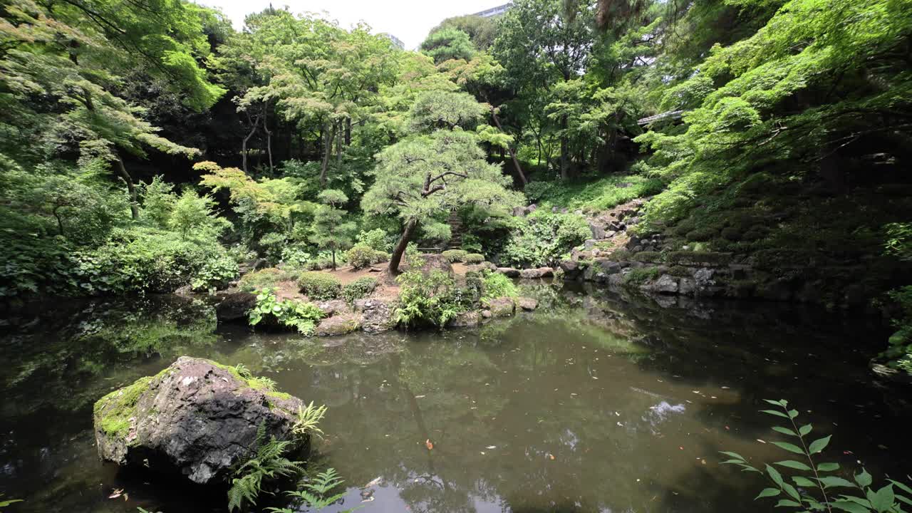 夏日阳光明媚的日子里，东宫花园的日式花园池塘视频素材