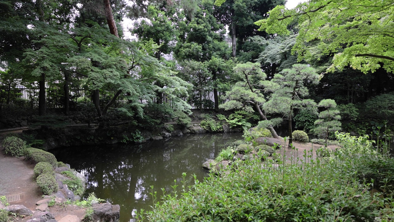 夏日阳光明媚的日子里，东宫花园的日式花园池塘视频素材