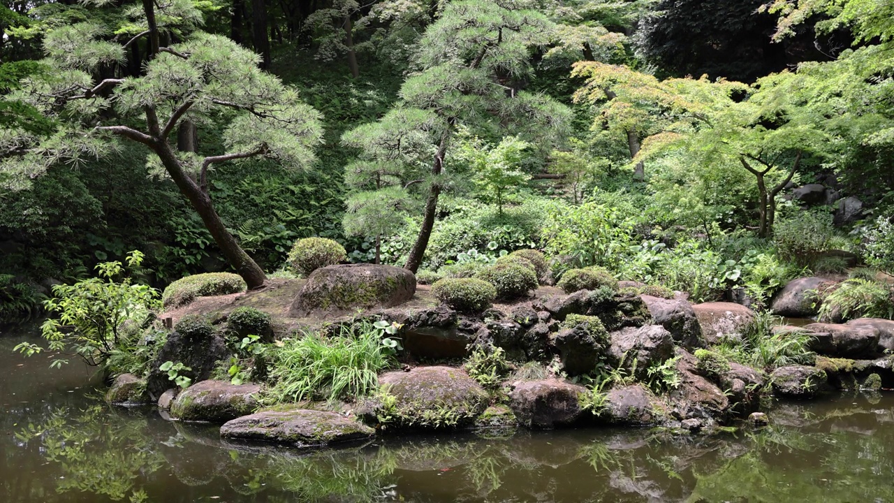 夏日阳光明媚的日子里，东宫花园的日式花园池塘视频素材