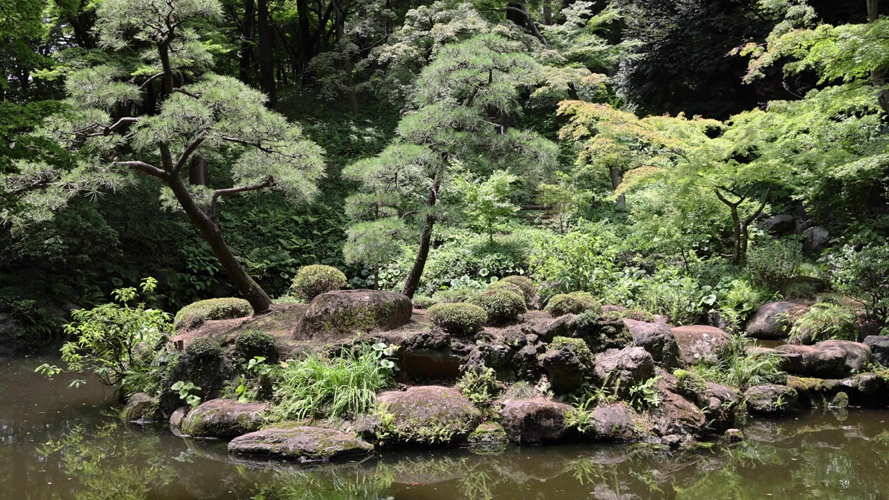 夏日阳光明媚的日子里，东宫花园的日式花园池塘视频素材