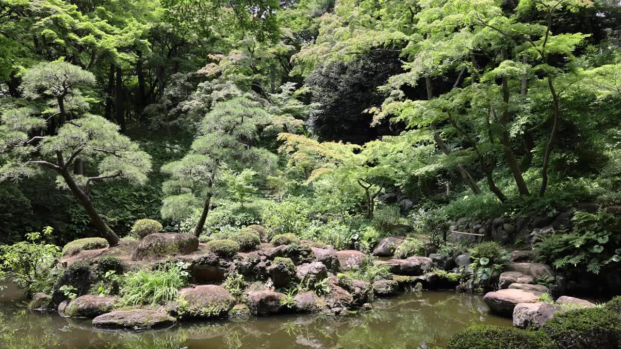 夏日阳光明媚的日子里，东宫花园的日式花园池塘视频素材