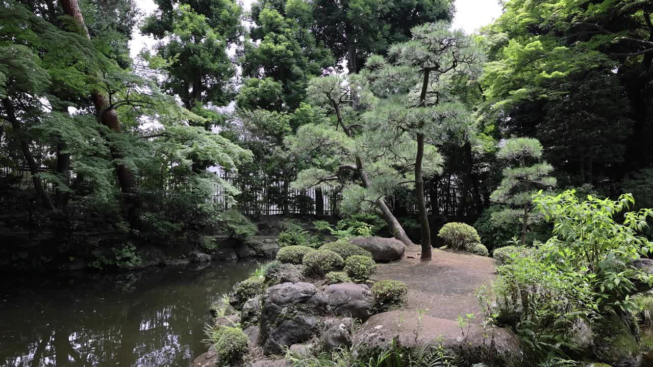 夏日阳光明媚的日子里，东宫花园的日式花园池塘视频素材