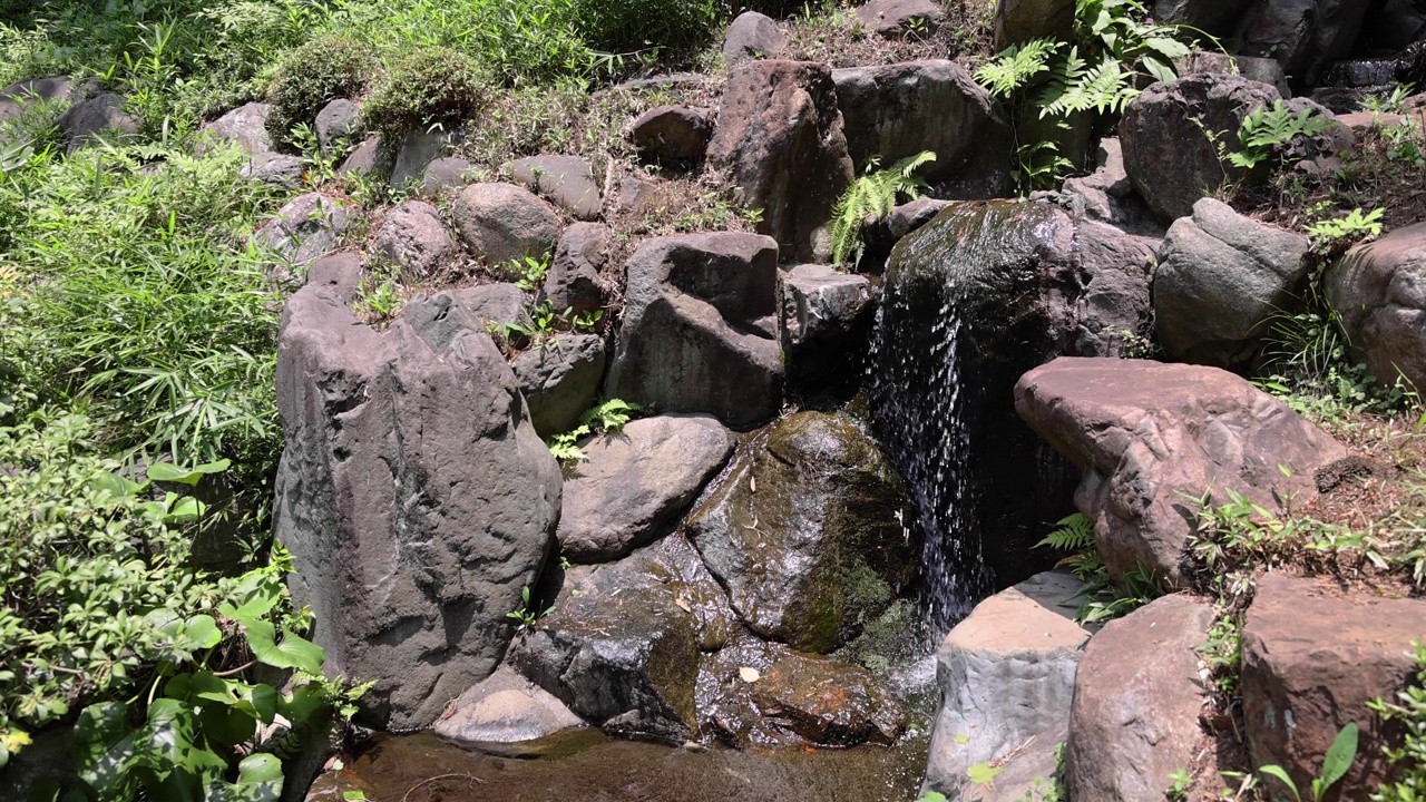 夏日阳光明媚的日子里，东宫花园的日式花园池塘视频素材