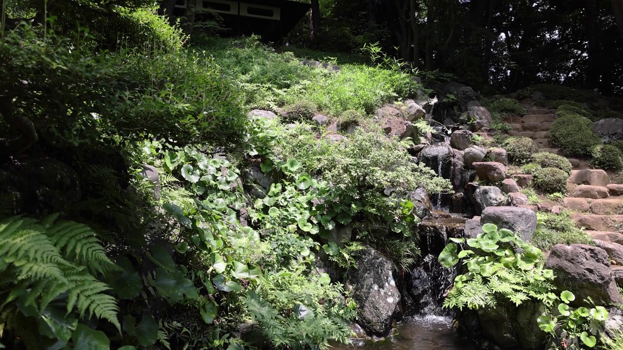 夏日阳光明媚的日子里，东宫花园的日式花园池塘视频素材