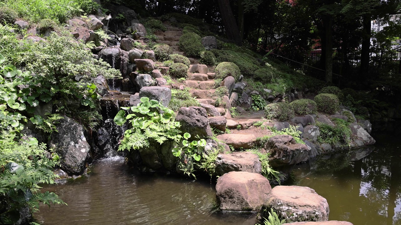 夏日阳光明媚的日子里，东宫花园的日式花园池塘视频素材