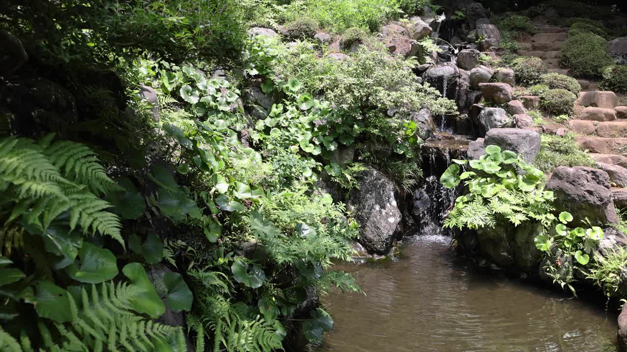 夏日阳光明媚的日子里，东宫花园的日式花园池塘视频素材