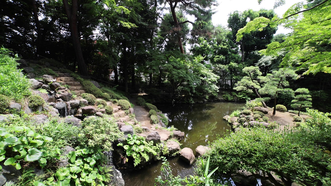 日本庭园池塘，在夏天阳光明媚的一天广角拍摄视频素材