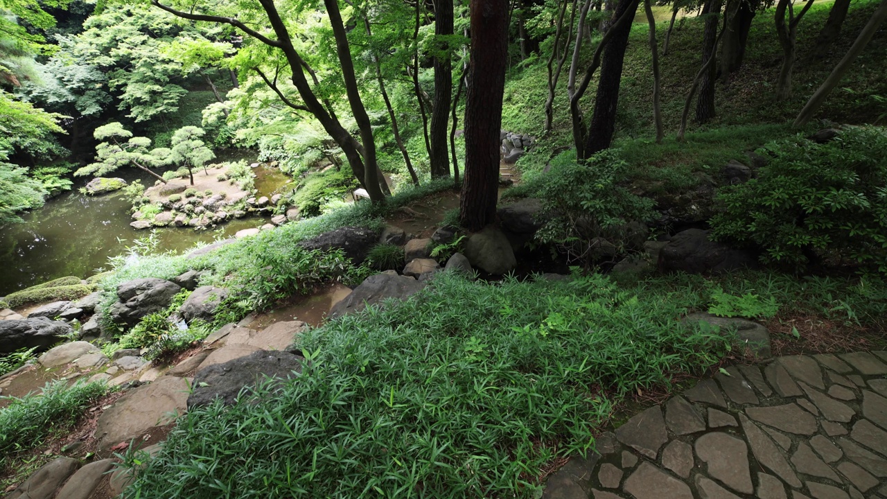 日本庭园池塘，在夏天阳光明媚的一天广角拍摄视频素材