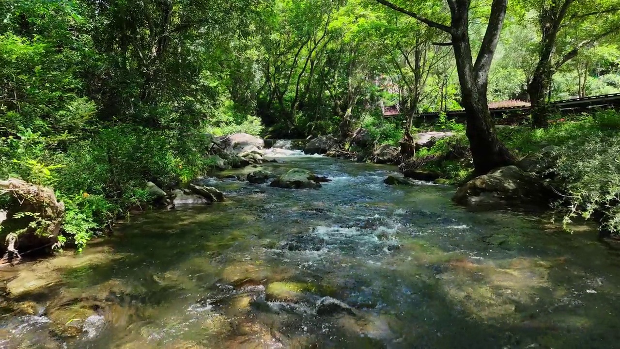 绿树成荫，山涧淙淙视频素材