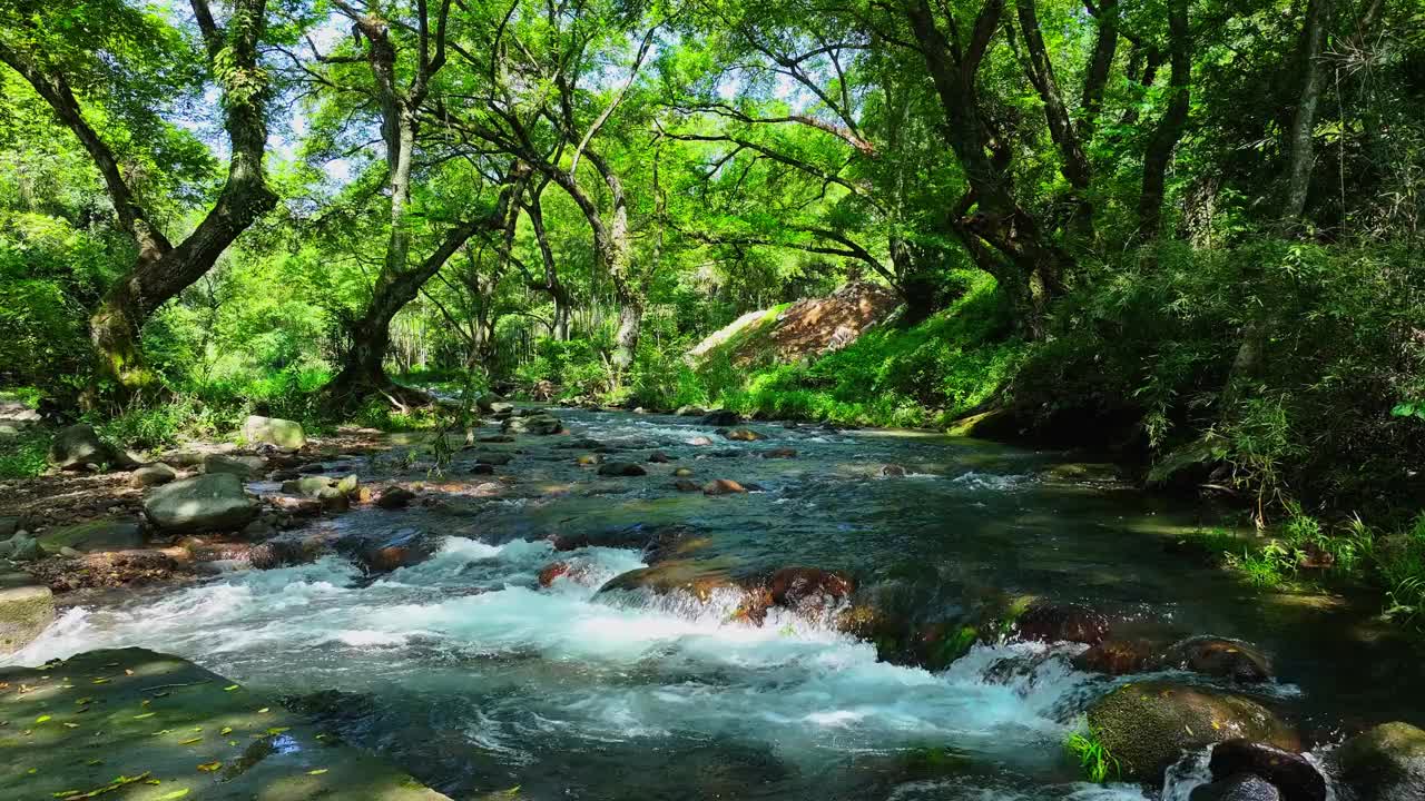 绿树成荫，山涧淙淙视频素材