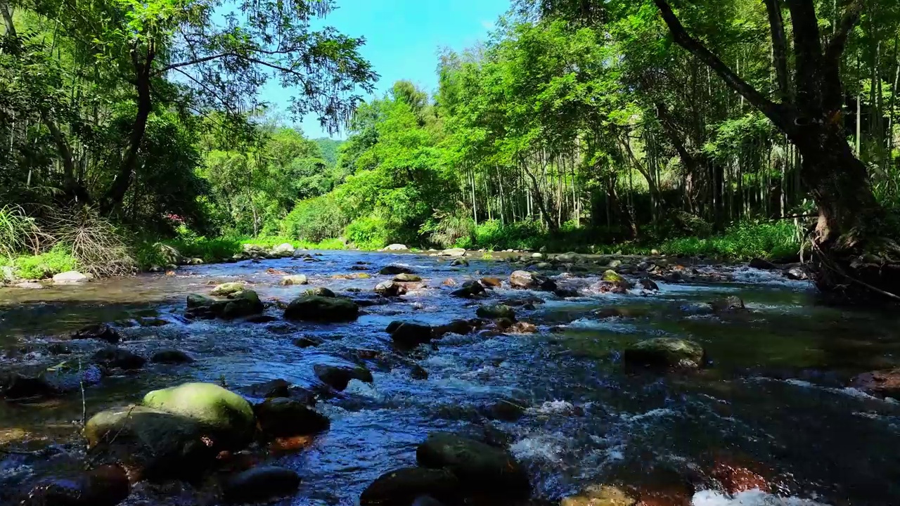 绿树成荫，山涧淙淙视频素材