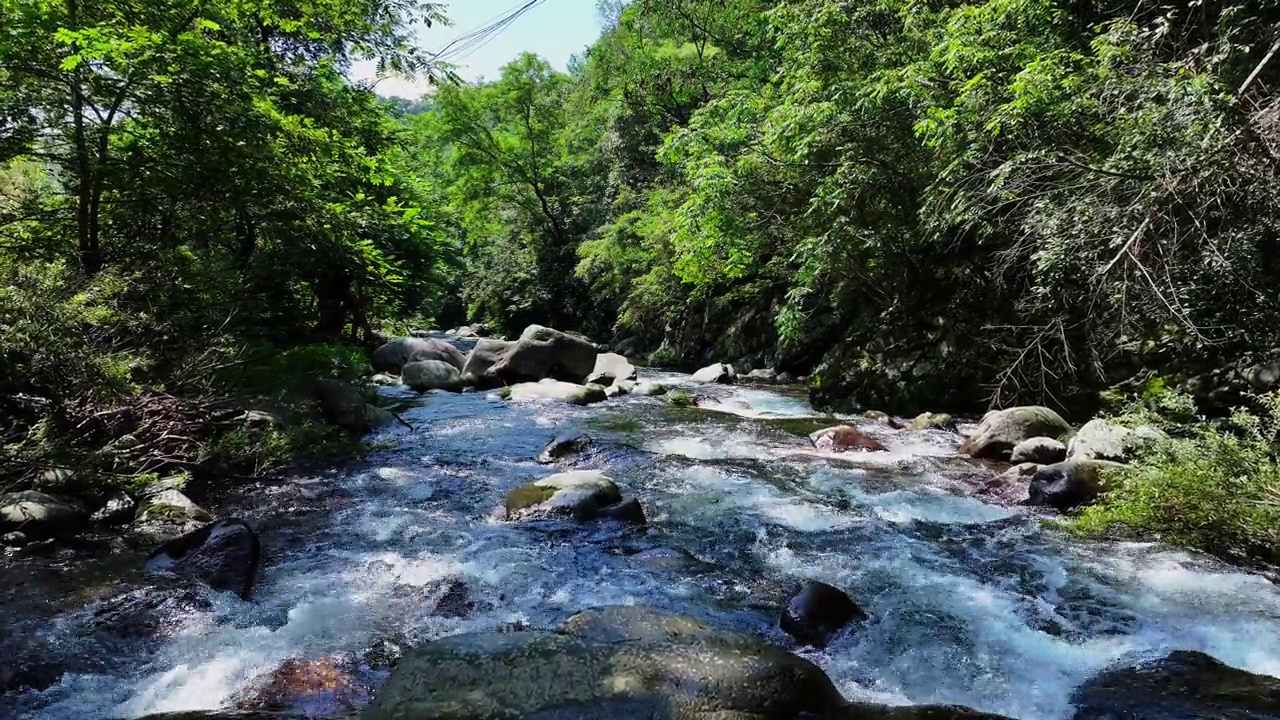 绿树成荫，山涧淙淙视频素材