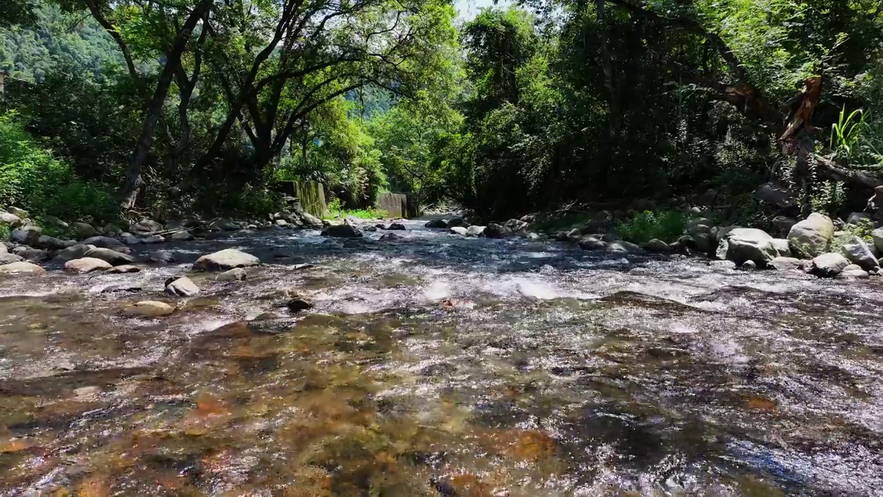 绿树成荫，山涧淙淙视频素材