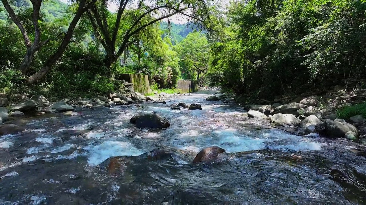 绿树成荫，山涧淙淙视频素材