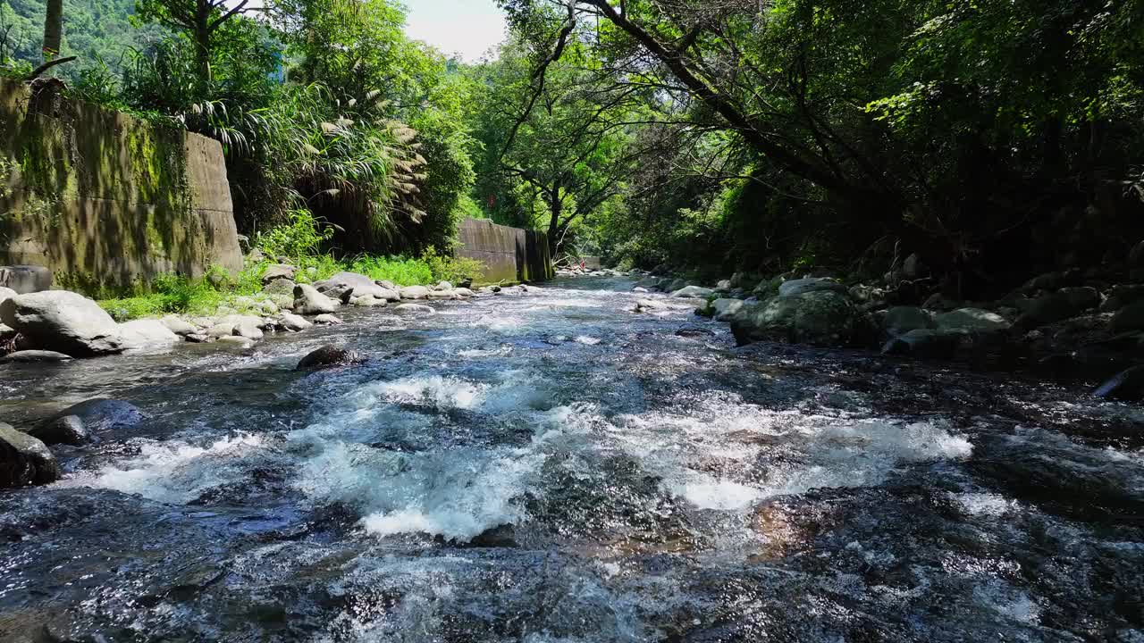 绿树成荫，山涧淙淙视频素材