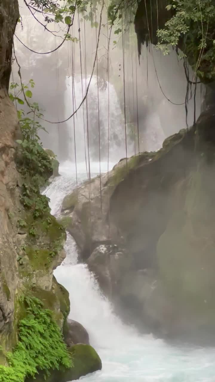 雨林瀑布流动视频素材