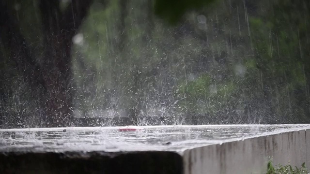 雨视频素材