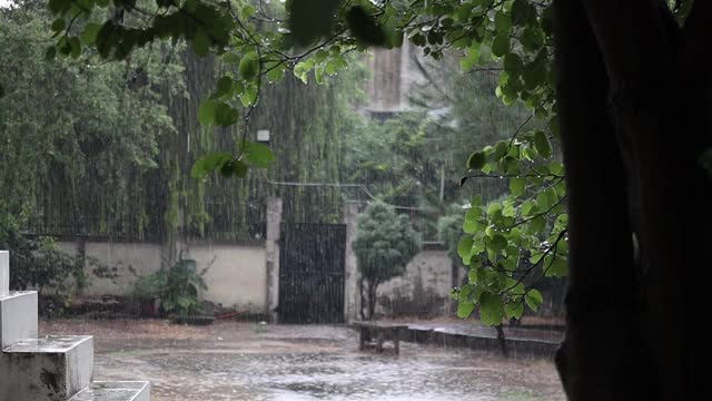 雨视频素材